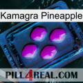 Kamagra Pineapple 04